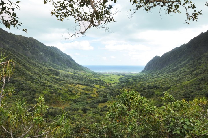 Kualoa Valley