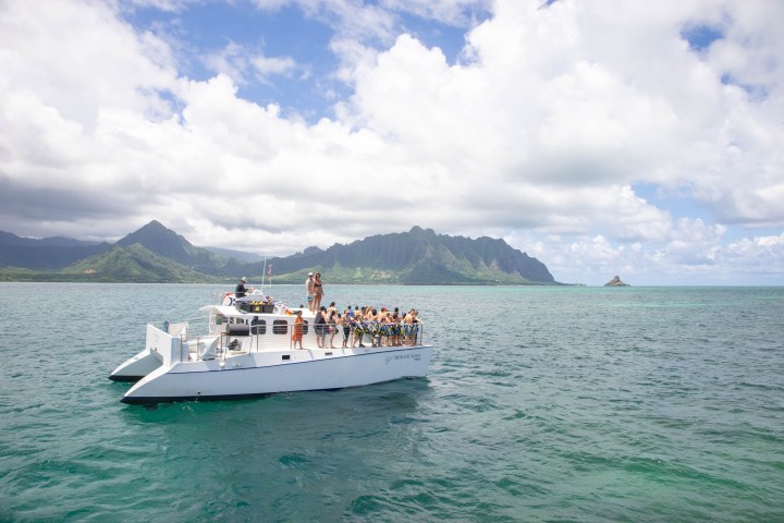 Captain Bob's Picnic Sail