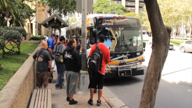 Maui Airport Shuttle